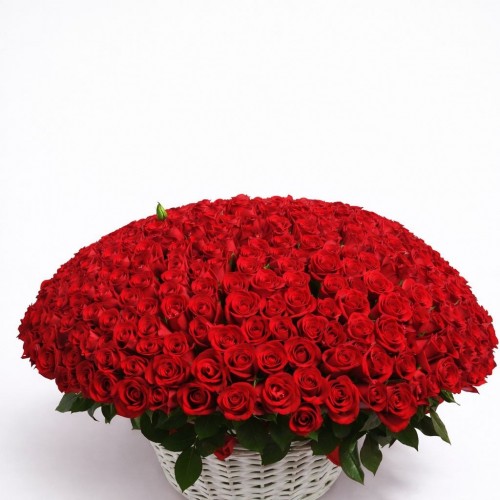 Grand Red Roses Basket (VIP)