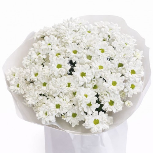White Daisy Charm